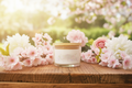 Spring Blooming